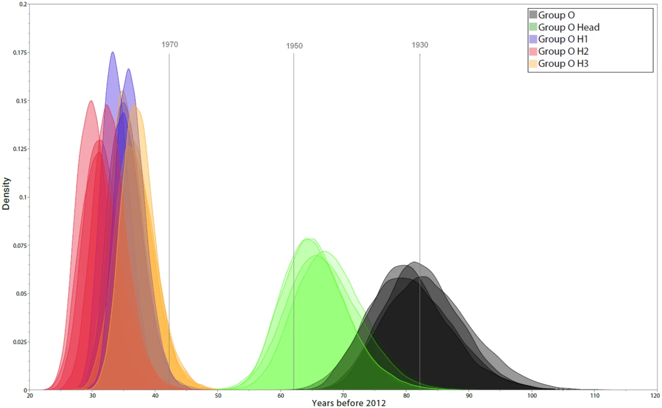 Estimates of group O tMRCA.