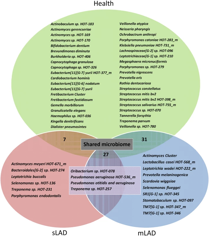 Unique bacterial taxa detected in health, severe and moderate LAD.