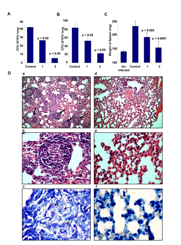 Efficacy of D4476 in the murine model of Mtb infection.