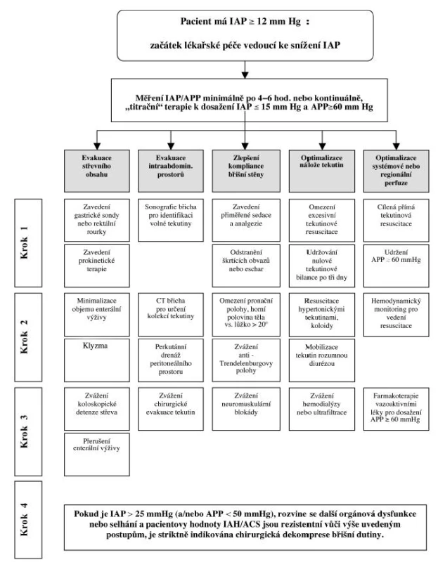 Doporučený algoritmus medicínského řešení IAH / ACS
Fig. 1: Recommended IAH / ACS medical management algorithm