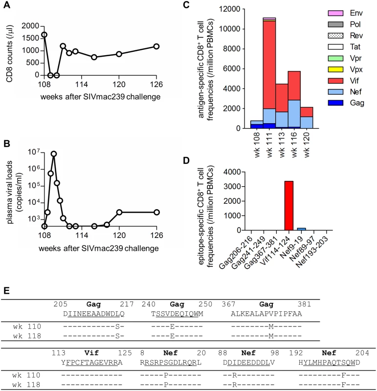 Virological and immunological analyses in macaque R09-009 following CD8<sup>+</sup> cell depletion.