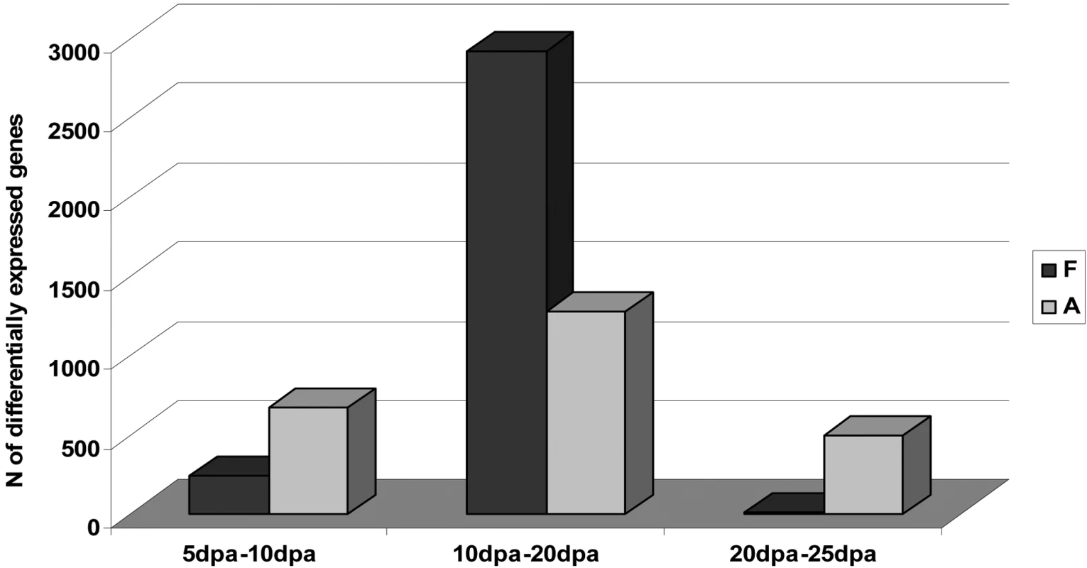 Summary of the Number of Genes Differentially Expressed between Adjacent Time-Points during Fiber Development (FDR &amp;lt; 0.05)