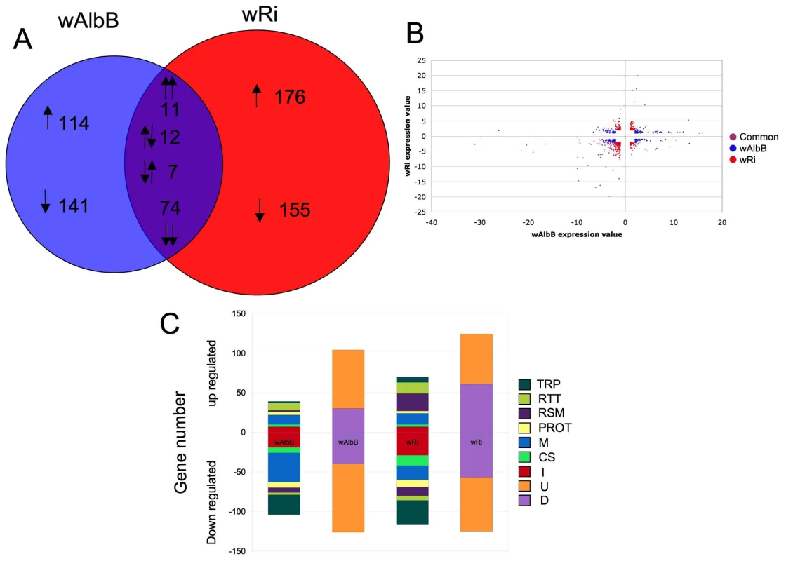 <i>Anopheles gambiae</i> gene regulation in response to <i>Wolbachia</i> infection.