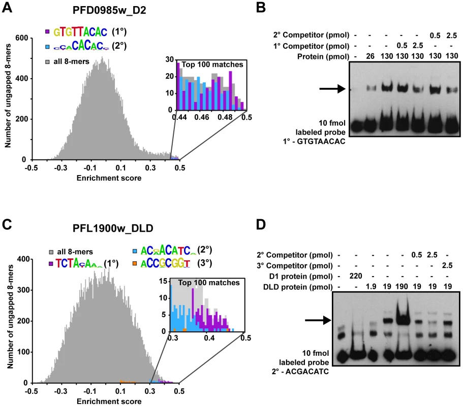 Secondary motifs represent both high- and low- affinity binding sites of ApiAP2 proteins.