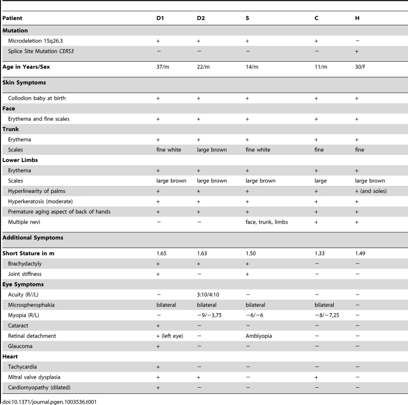 Clinical characteristics of the patients.