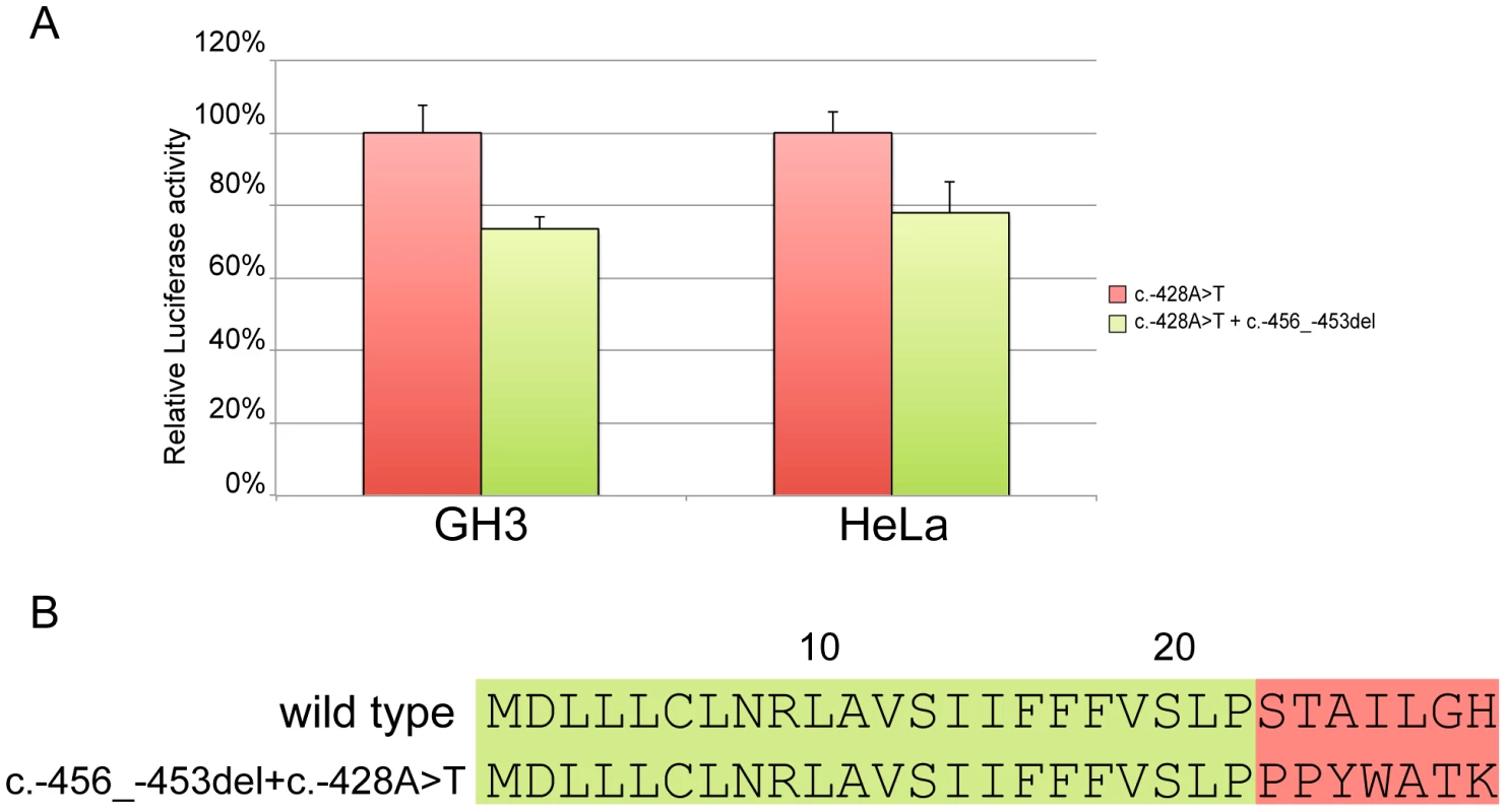 Effect of the c.-428A>T restoring mutation.