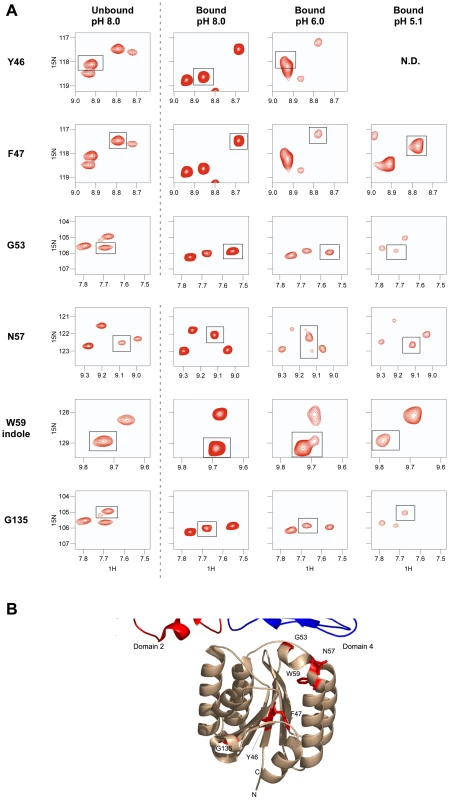 Chemical shift changes of the ANTXR2 spectra due to PA binding at several pH values. 