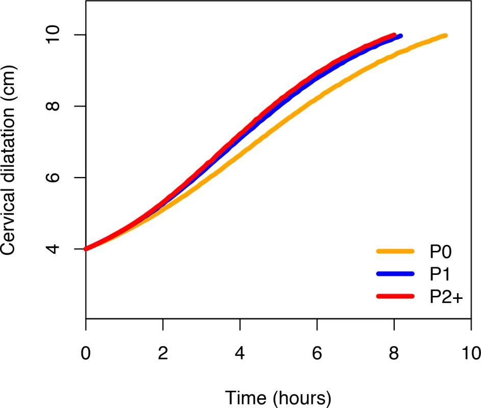 Average labour curves by parity based on multistate Markov models.