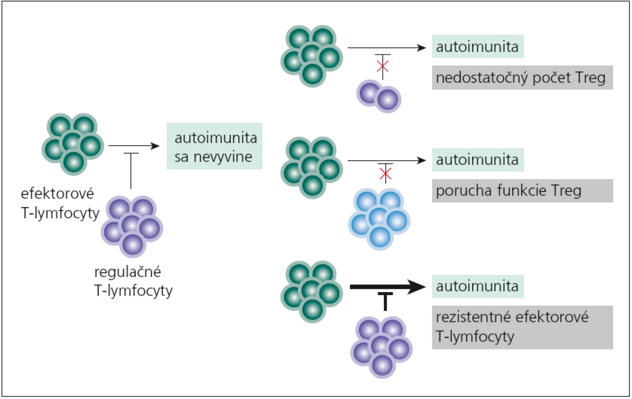 Príčiny neúspešnej funkcie regulačných T-lymfocytov pri vývoji autoimunity.
Regulačné T-lymfocyty neuplatnia svoju tlmivú funkciu pretože ich je málo v dôsledku určitej poruchy pri ich diferenciácii, ako je nedostatok cytokínov (IL-2, TGF-β), kostimulácie (CD28) a pod. Ďalej Treg-lymfocyty môžu byť v norme, ale nie sú plne funkčné, napr. neprodukujú dostatok imunosupresívnych cytokínov (IL-10, IL-35, TGF-β), alebo dochádza k poruche kontaktnej imunosupresívnej interakcie. Napokon aj počty aj funkcia Treg-lymfocytov sú v norme, ale terčová skupina buniek na ich imunosupresívne pôsobenie neodpovedá, napr. pre veľké množstvo cytokínov, ktoré produkujú (IL-2, IL-4, IL-6, IL-15) alebo pre svoj výslovne prozápalový charakter (T<sub>H</sub>17-subpopulácia).