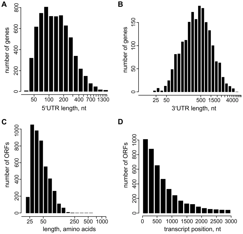 Characteristics of untranslated regions and novel transcripts in <i>T. brucei</i>.
