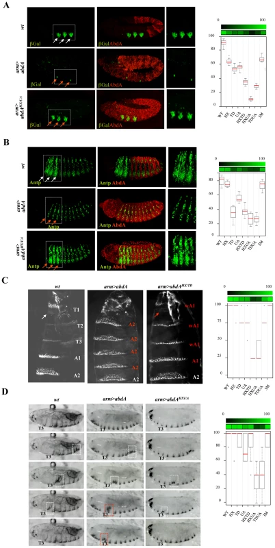 Mutually suppressive interaction of protein domains.