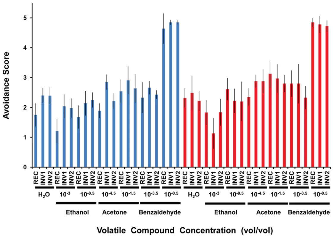 Olfactory response of strains with (INV1, INV2) and without (REC) the disrupted ultraconserved region <i>CG15121–CG16894</i> to three different volatile compounds.