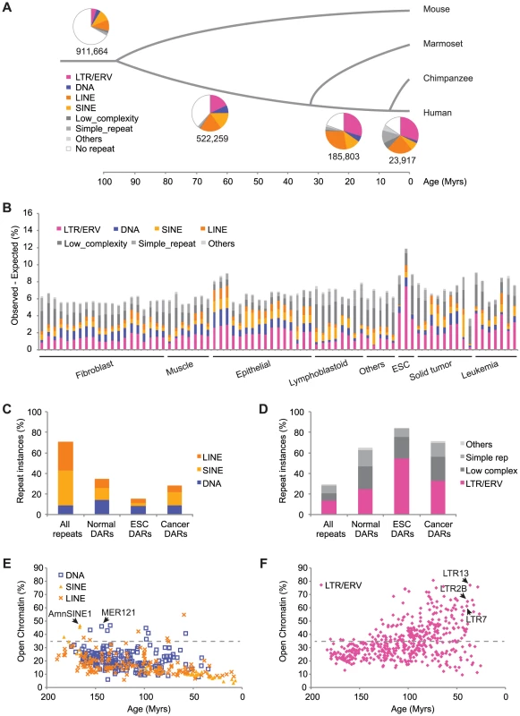 TEs have contributed a large fraction of accessible regions in human cells.
