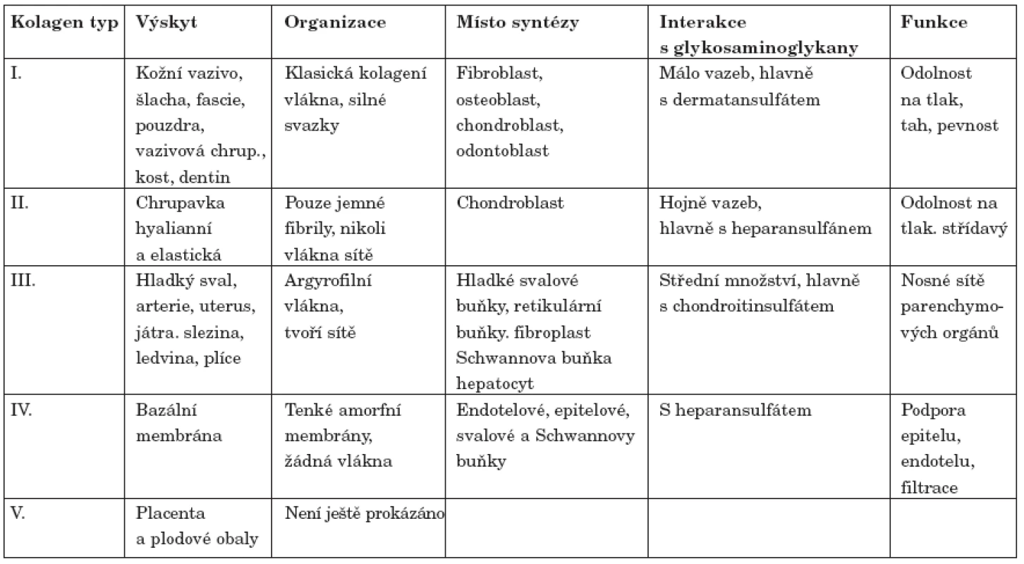Typy kolagenu se zhodnocením lokalizace, zdrojů a funkční role v lidském organismu (upraveno podle 13).