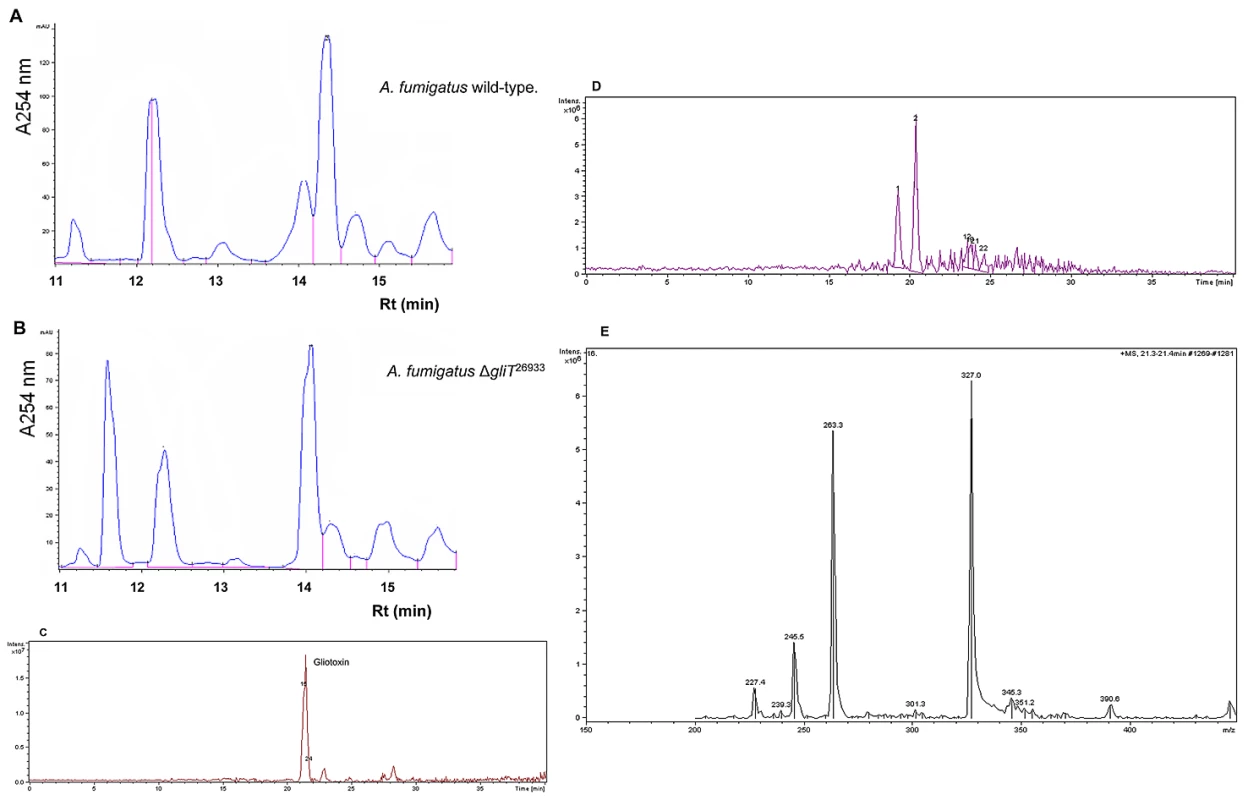 Gliotoxin is not produced by <i>A. fumigatus</i> Δ<i>gliT</i>.