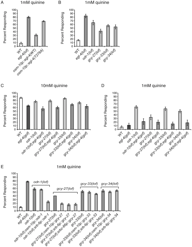 Guanylyl cyclases act upstream of EGL-4.