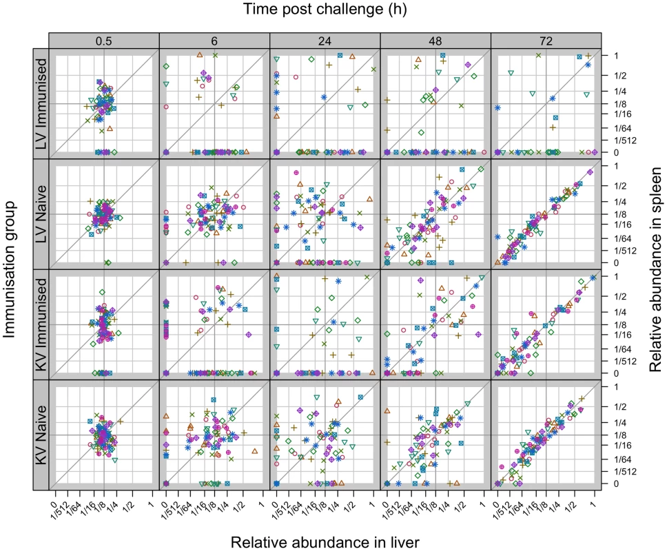 Relative abundance of individual WITS in the spleens and livers.