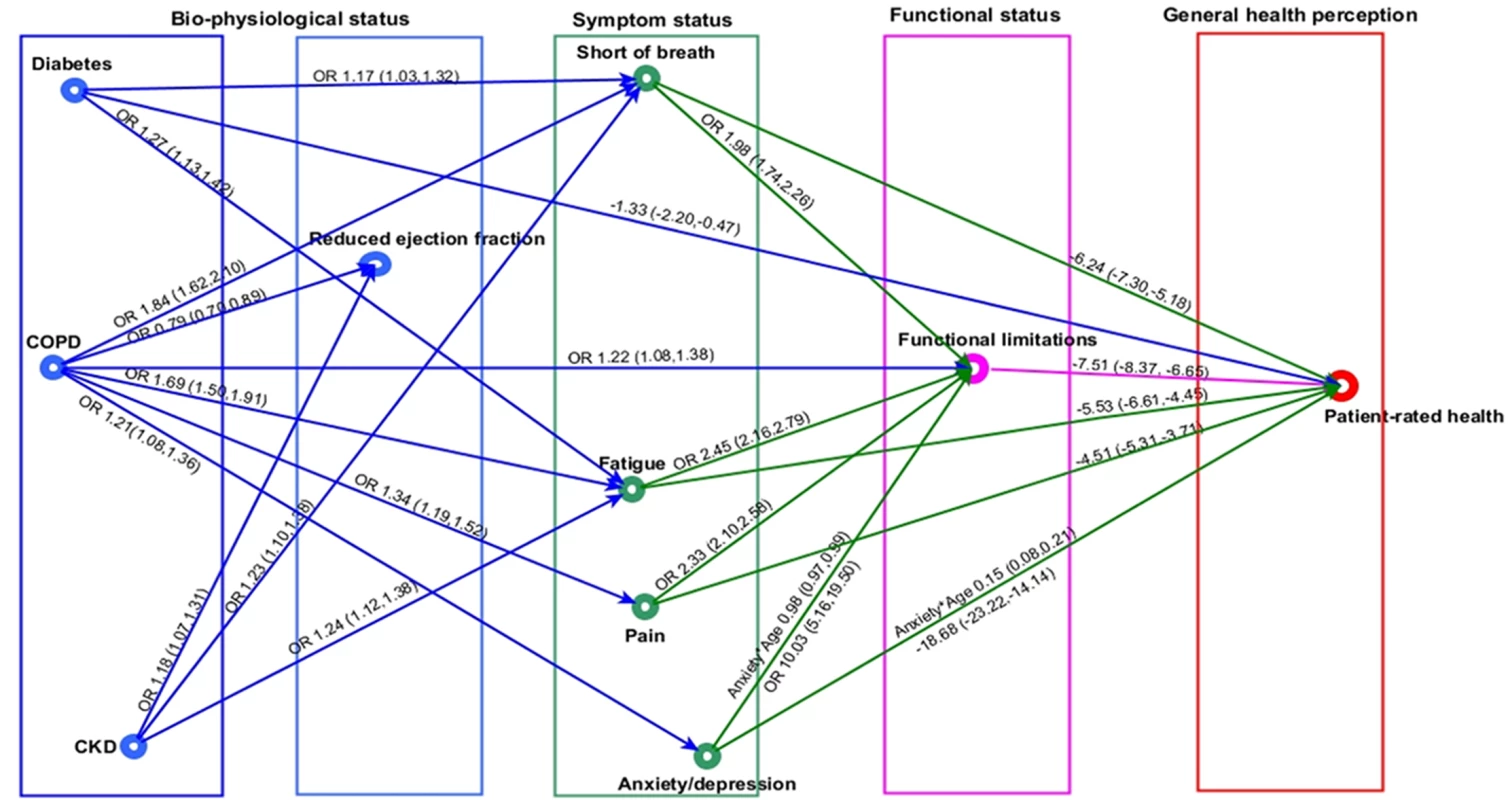 Non-cardiovascular comorbidities in heart failure and patient health pathway.