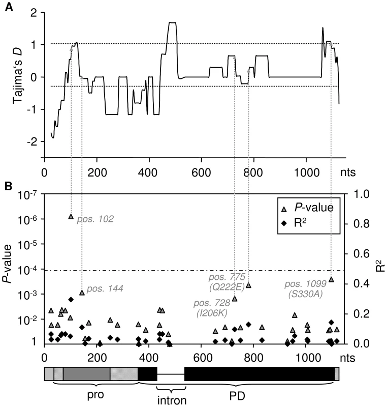 Association of the weak HR phenotype with sequence polymorphism.