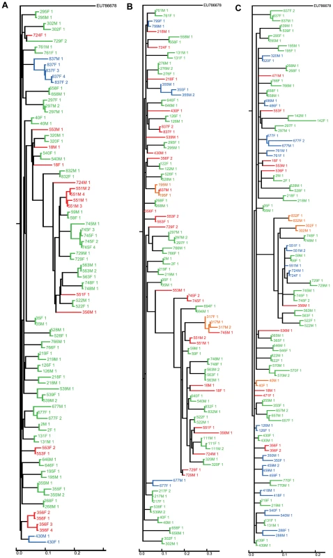 Clustering of sequences from the couples for whom sequence data was available.