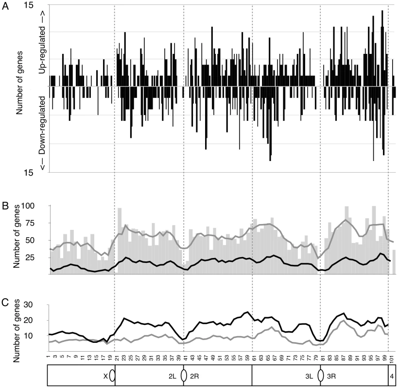 <i>rDNA</i>–responsive genes are found throughout the genome.