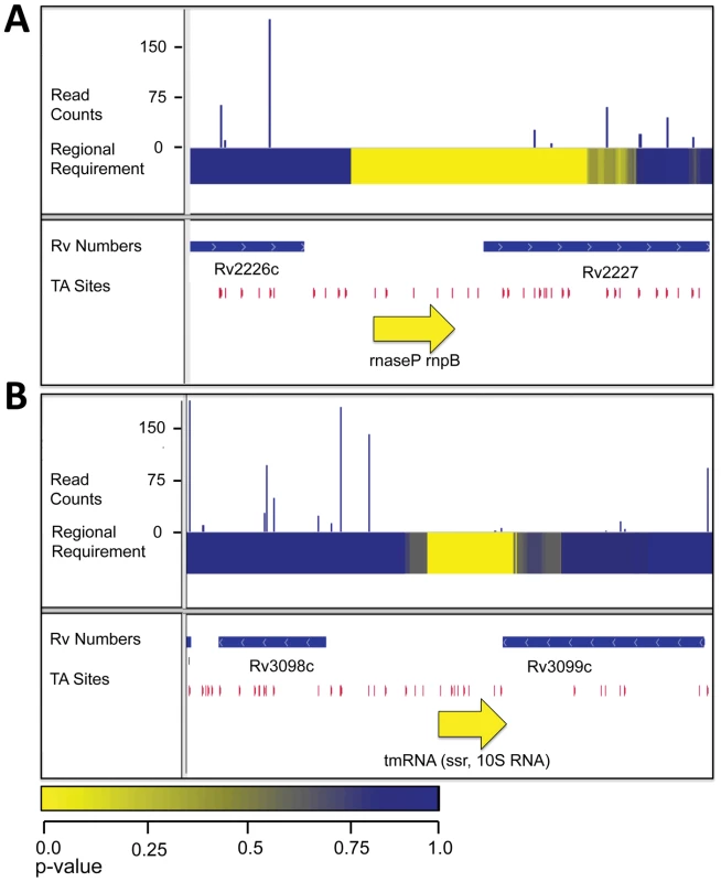 RNAs required for growth <i>in vitro</i>.