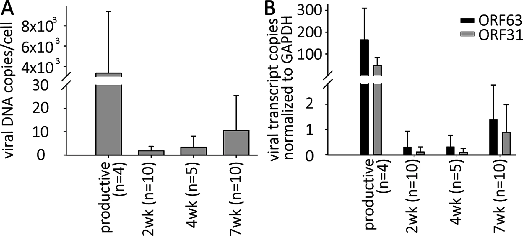 VZV DNA and transcripts are present in hESC-derived neurons productively or quiescently infected with VZV.