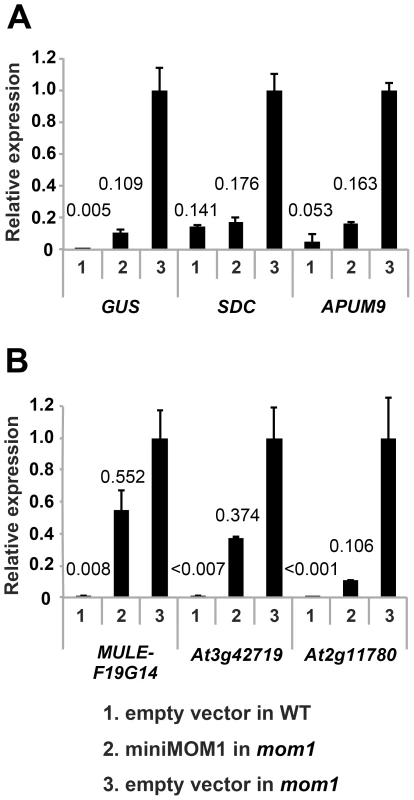 CMM2 acts selectively on MOM1-regulated TGS targets.