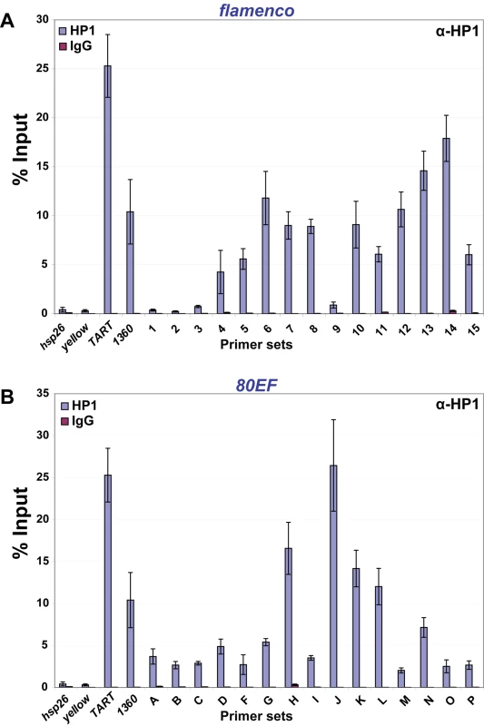 HP1 associates with chromatin at piRNA clusters in ovaries.