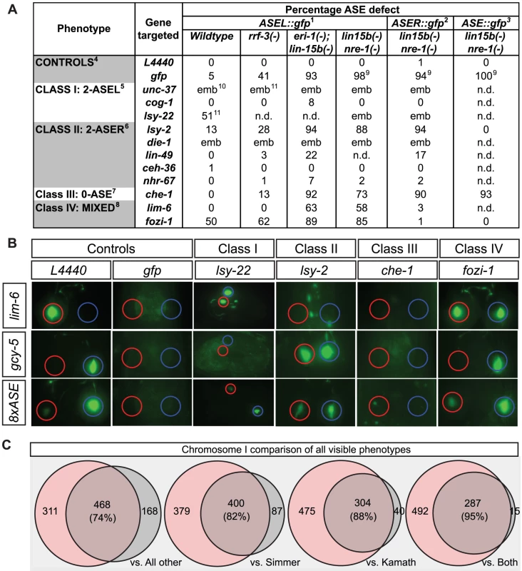Testing hypersensitive strains and validating the screen with visible phenotypes.