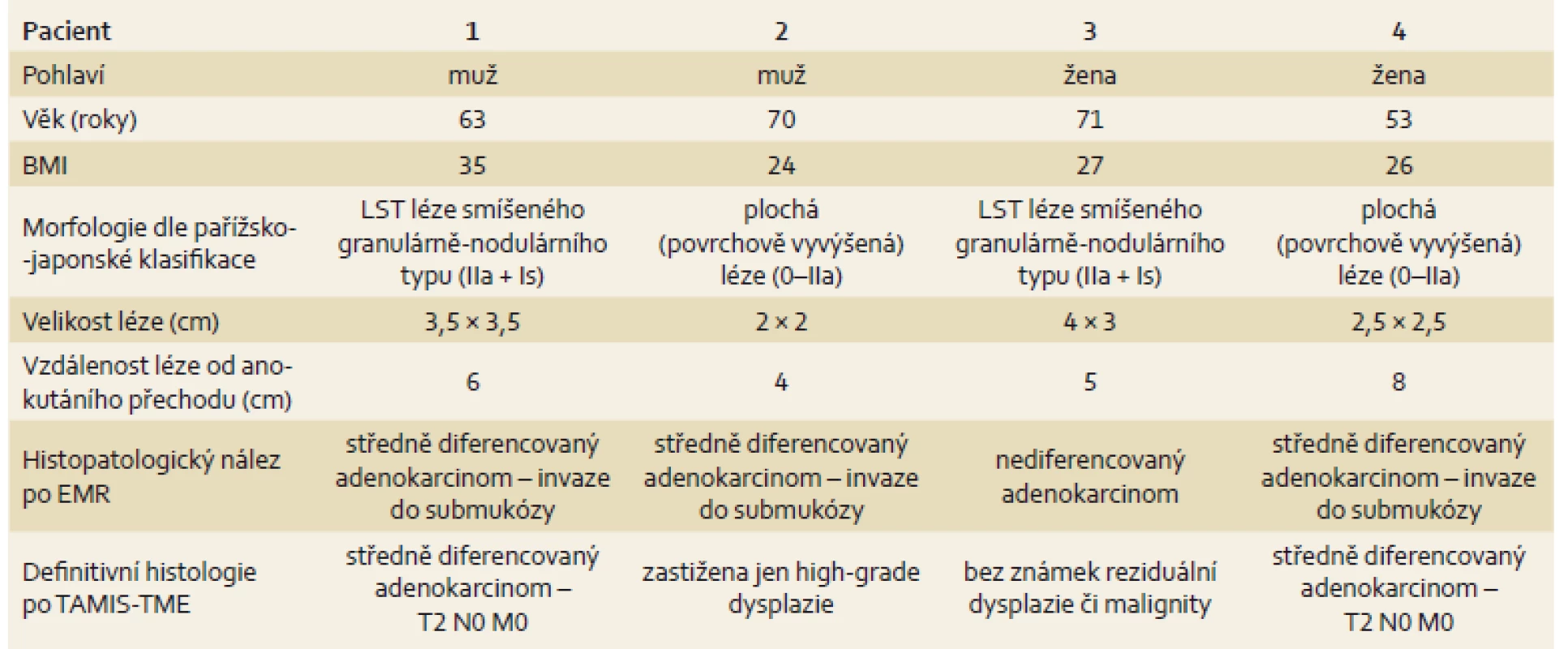 Základní charakteristika pacientů.
Tab. 1. Basic patient characteristics.
