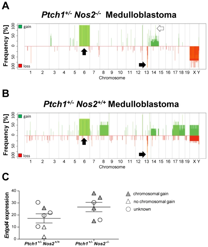 Microarray-based CGH analysis of MB samples.