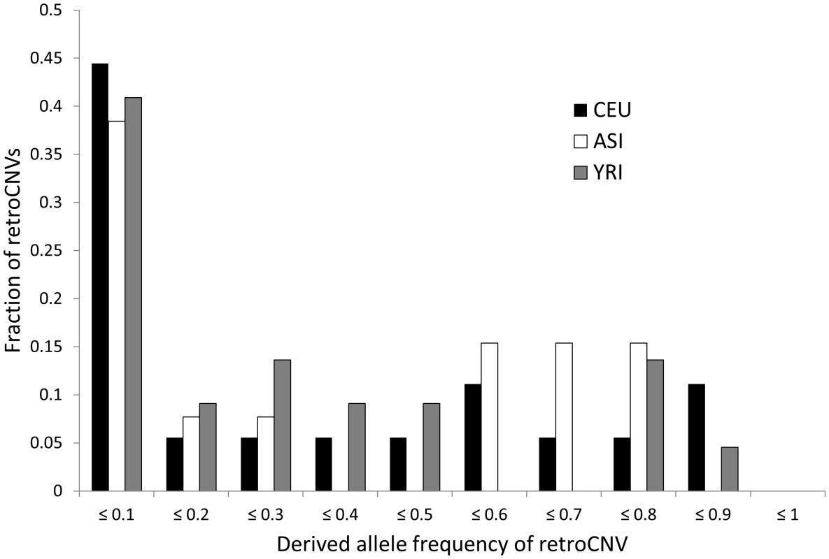 Estimated derived allele frequencies of retroCNVs segregating in three human subpopulations.
