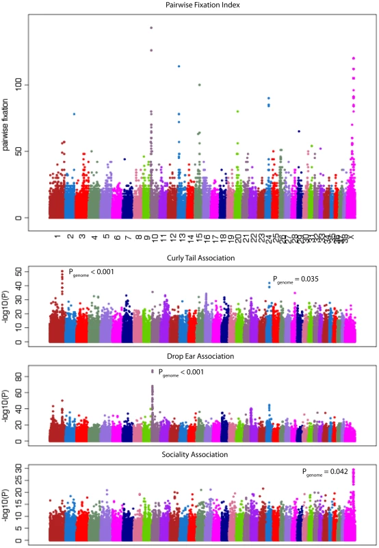 Identification of variants with large differences in allele frequencies between breeds that are associated with phenotypic variation.