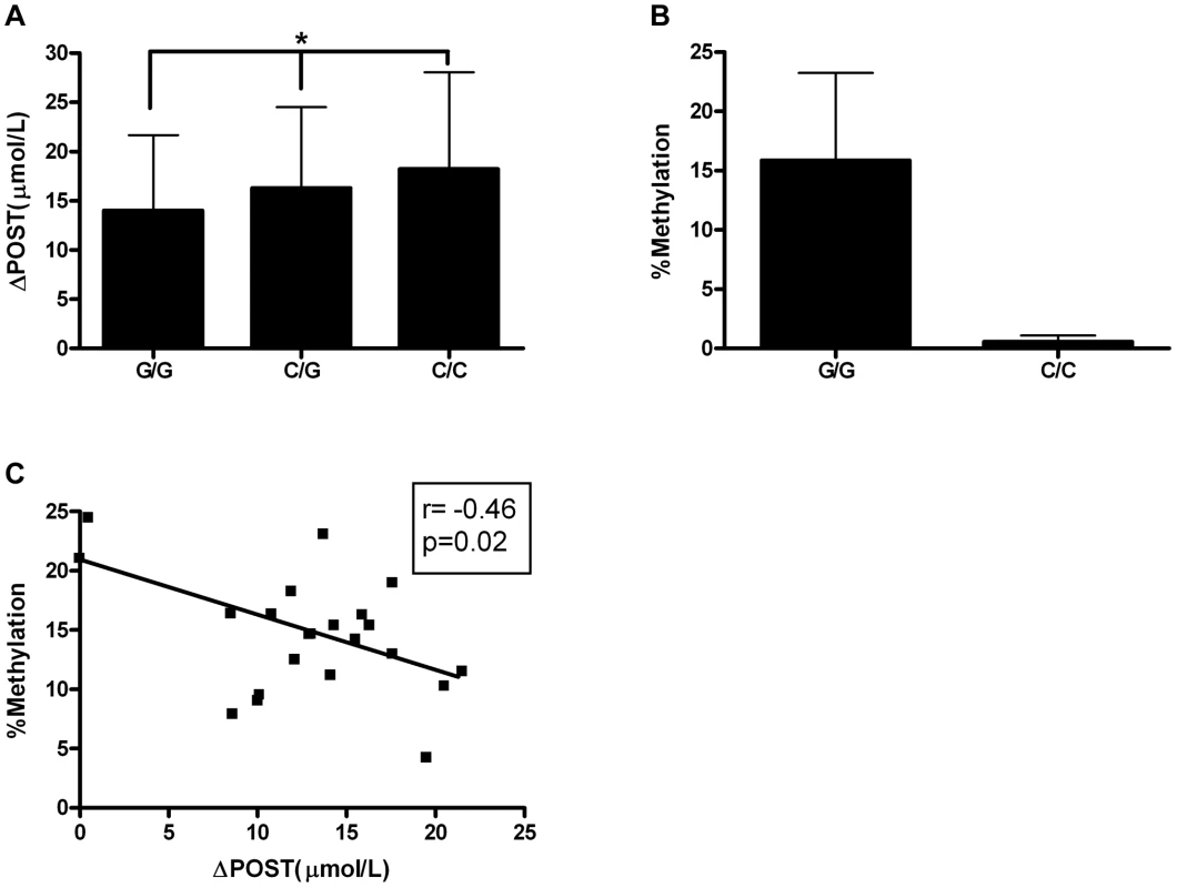 Epigenetic Evaluation of rs11752813.