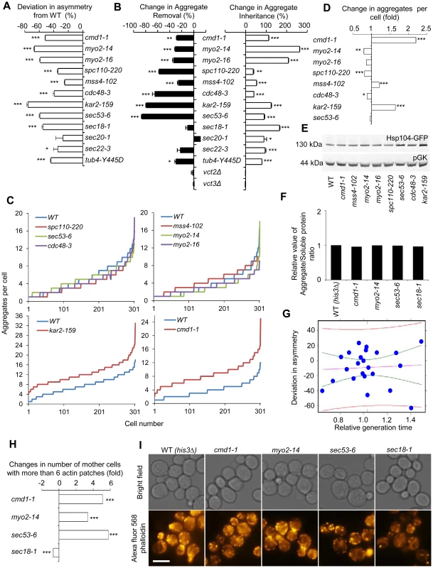 Actin/calmodulin/tubulin, phosphatidylinositol (4,5)-bisphosphate, and ER-Golgi trafficking, are required for asymmetrical inheritance of protein aggregates.