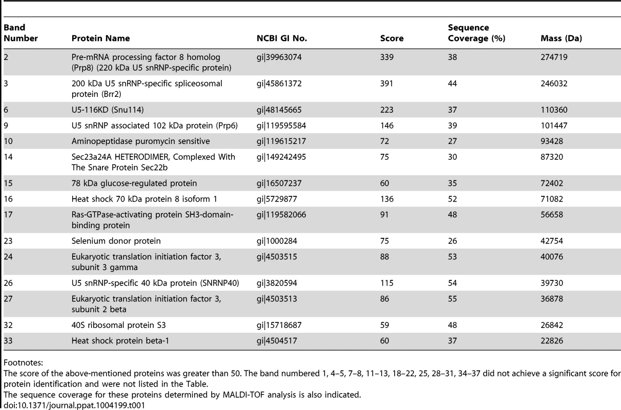 Potential protein targets of EV71 3D<sup>pol</sup> were identified by MALDI-TOF MS analysis.