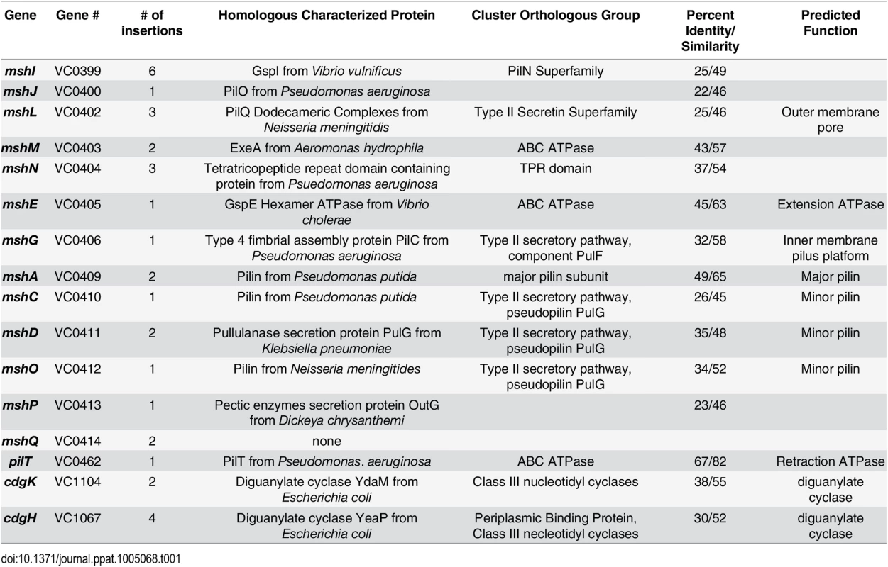 Extragenic suppressors of Δ<i>cdgJ</i> motility phenotype.