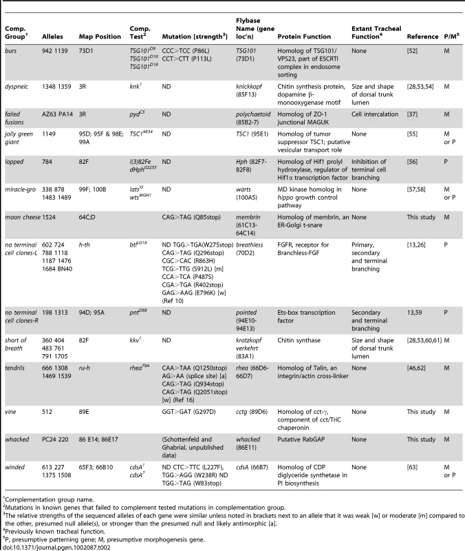 Molecular identification of tracheal genes.