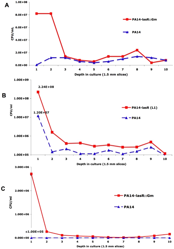 Resistance of <i>lasR</i> mutant <i>P. aeruginosa</i> to tobramycin and ciprofloxacin is oxygen-dependent.