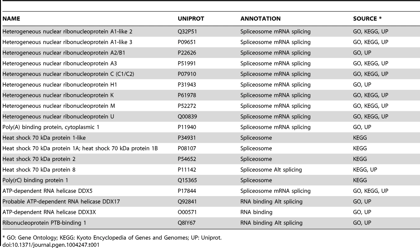 TBX3 interacting proteins involved in mRNA splicing.