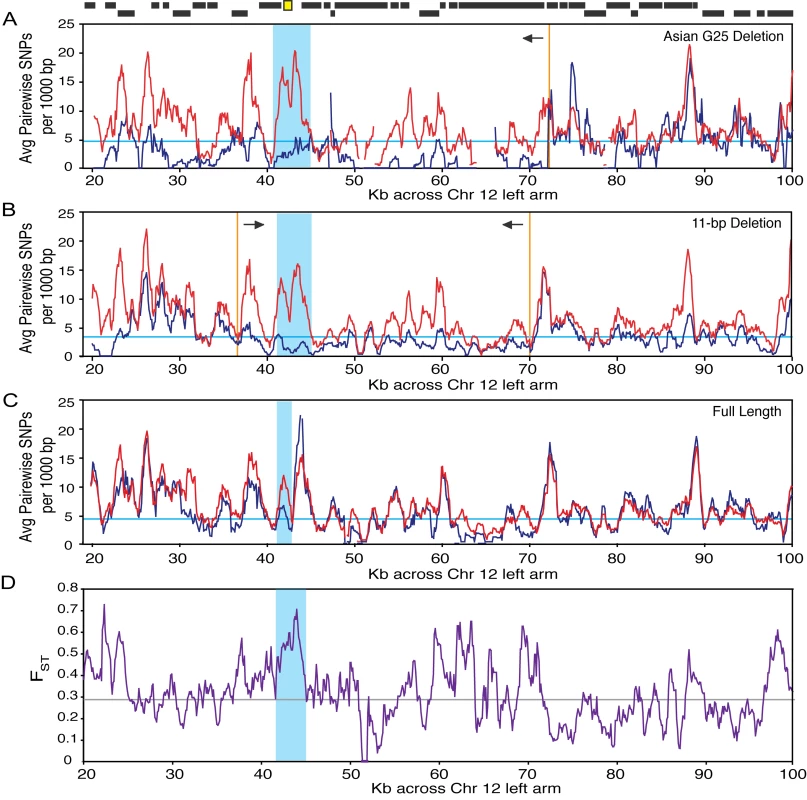 Skewed patterns of variation surrounding the <i>AQY2</i> locus.