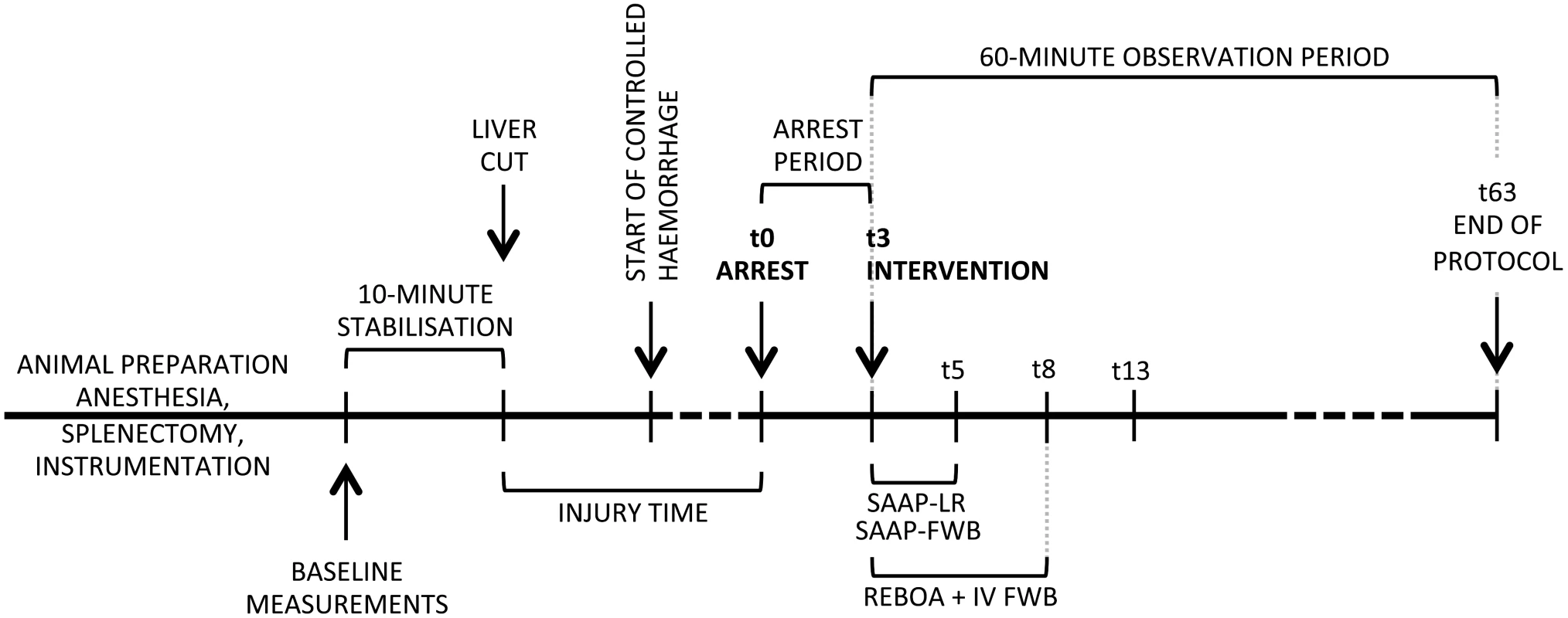 Protocol timeline.