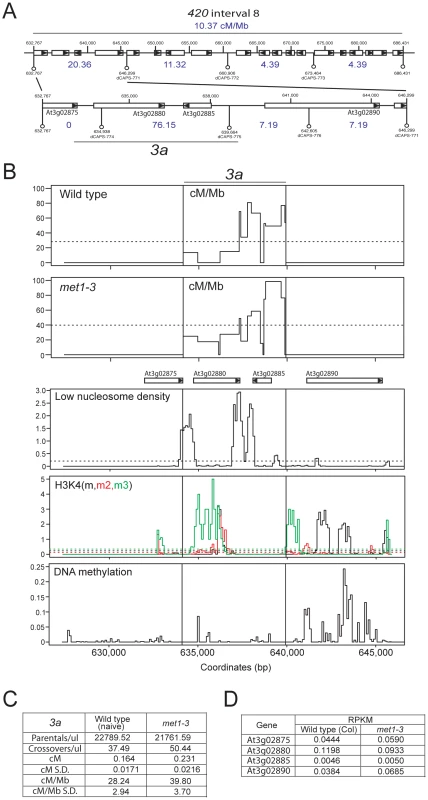 Elevated crossover hotspot <i>3a1</i> activity in <i>met1–3</i>.