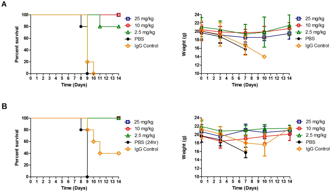 Antibody A06 therapy protects DBA/2 mice from death by 2009 pandemic H1N1 influenza infection.