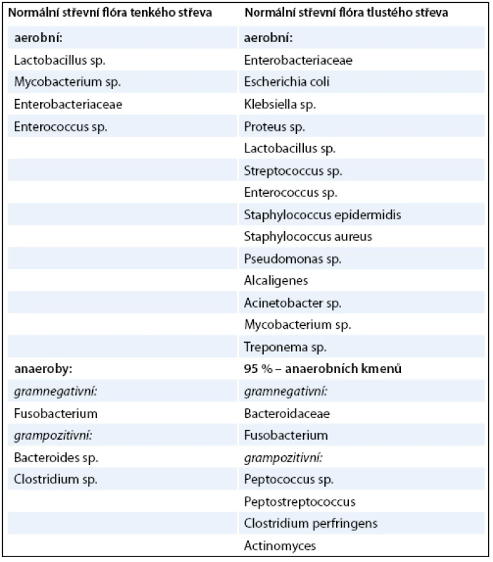 Normální střevní flóra [5].