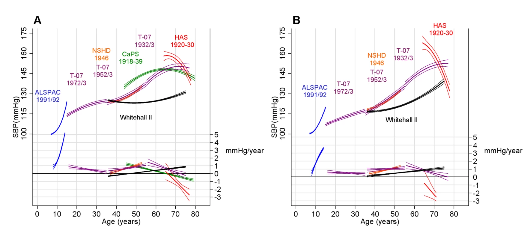 Predicted SBP from unadjusted models.