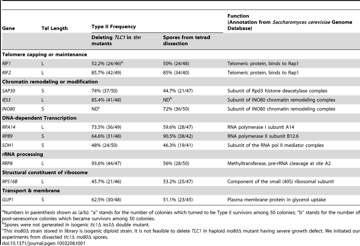 List of <i>S. cerevisiae</i> TLM genes affecting Type I versus II survivor ratio in <i>tlc1</i>Δ cells.