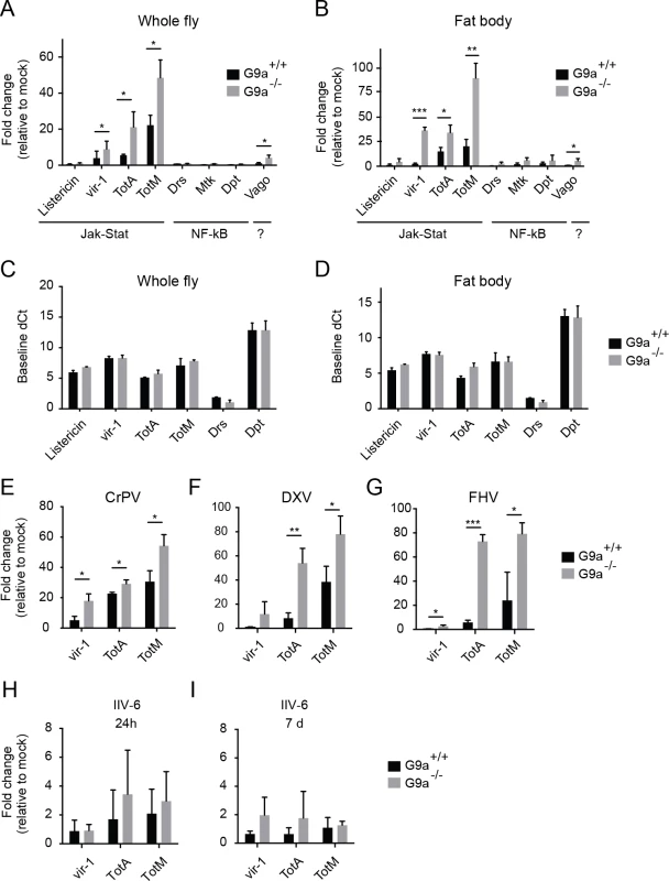Hyperactivation of the Jak-Stat pathway by virus infection of <i>G9a</i> mutants.