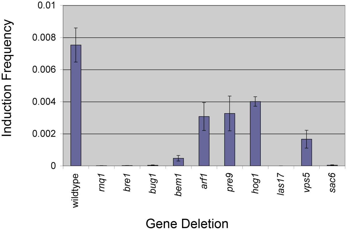 Nine deletions show reduced [<i>PSI</i><sup>+</sup>] appearance.